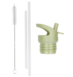 A Little Lovely Company Dinosaurs | Drink Bottles-Lid, straw & brush set: Dinosaurs