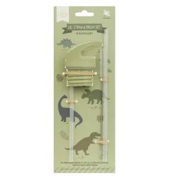 A Little Lovely Company Dinosaurs | Drink Bottles-Lid, straw & brush set: Dinosaurs