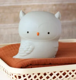 Kids A Little Lovely Company Forest Friends | Little Lights-Little light: Owl
